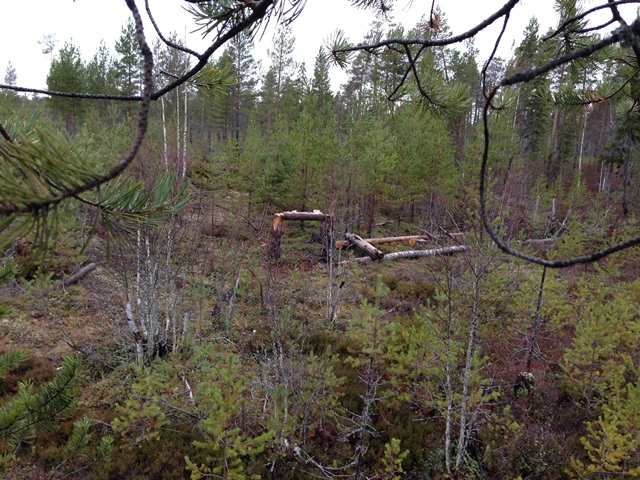 То, где мы ходим.