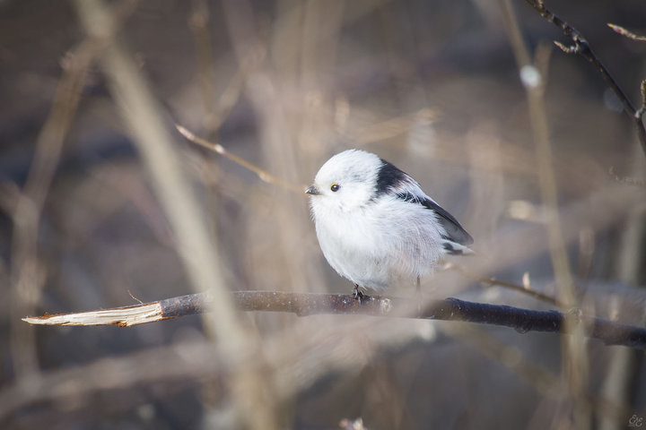 A0003498.jpg (107.61 КБ) 11288 просмотров A0003498.jpg