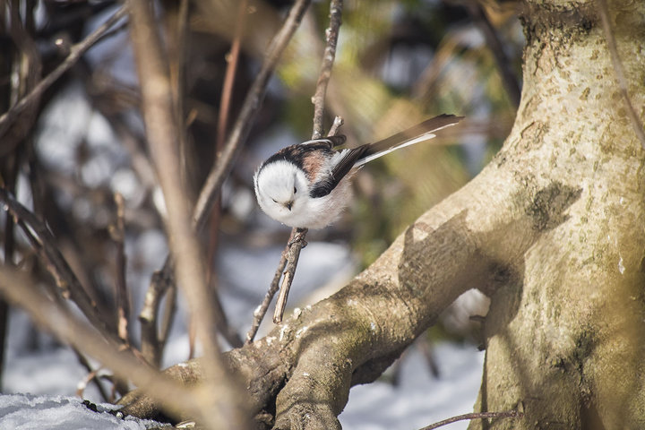 A0003425.jpg (242.4 КБ) 10818 просмотров A0003425.jpg