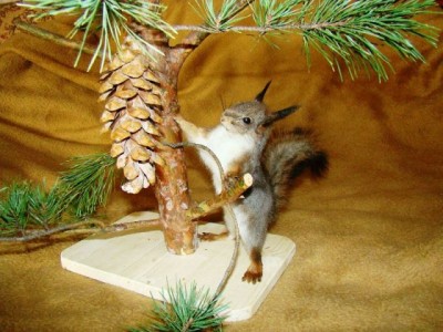 Чучело белки.jpg (70.96 КБ) 4629 просмотров Чучело белки.jpg