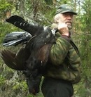 Аватара пользователя