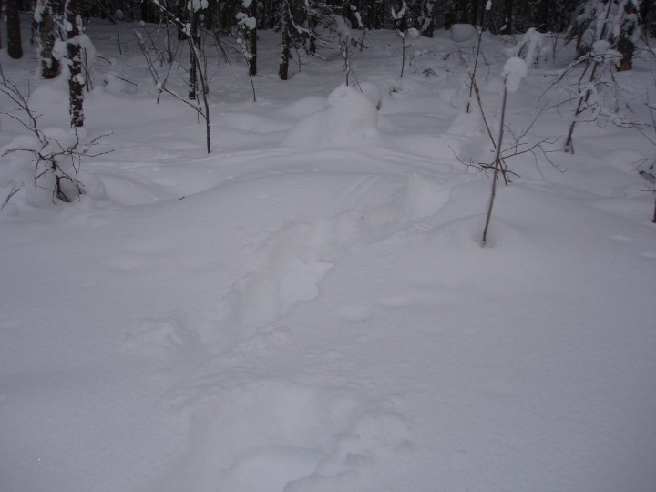 P1204498.JPG