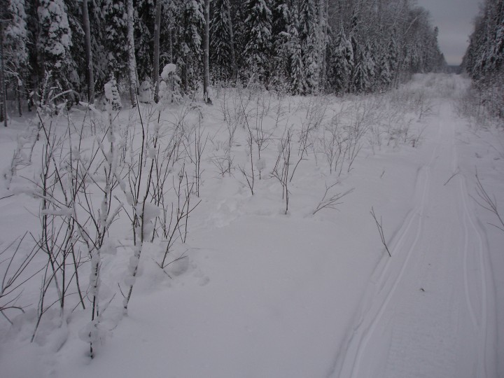 P1204508.JPG
