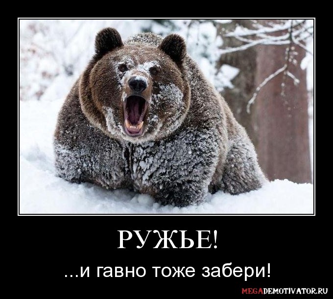 ruzhe-i-gavno-tozhe-zaberi_1.jpg