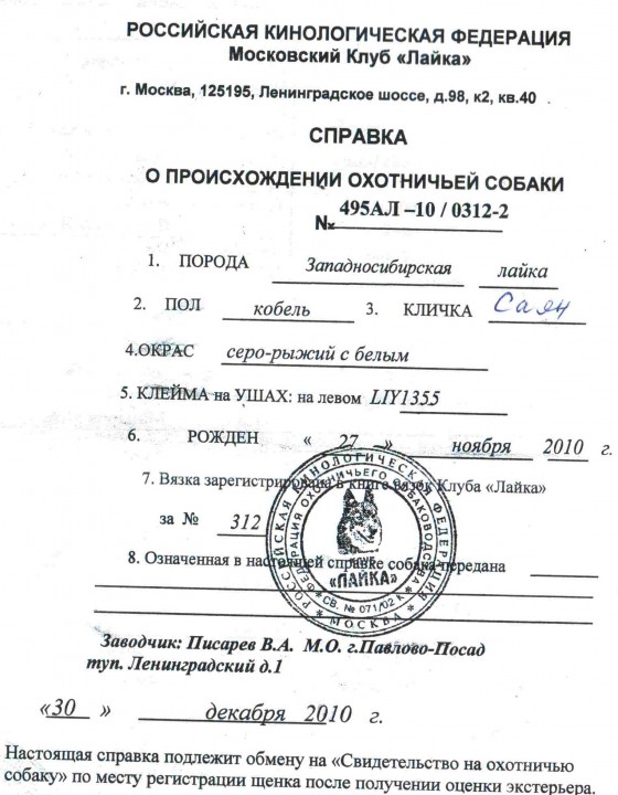 зсл 2 года 1.jpg
