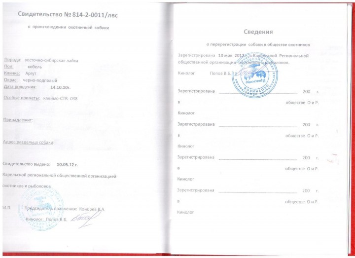 Изображение 547.jpg
