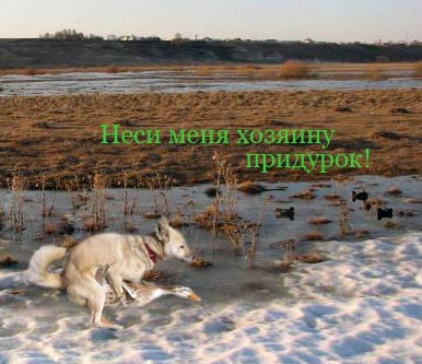 vesna.jpg