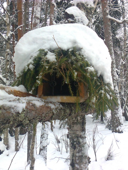 Изображение 1051.jpg