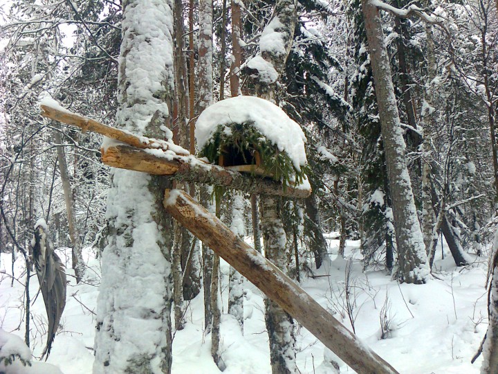 Изображение 1052.jpg