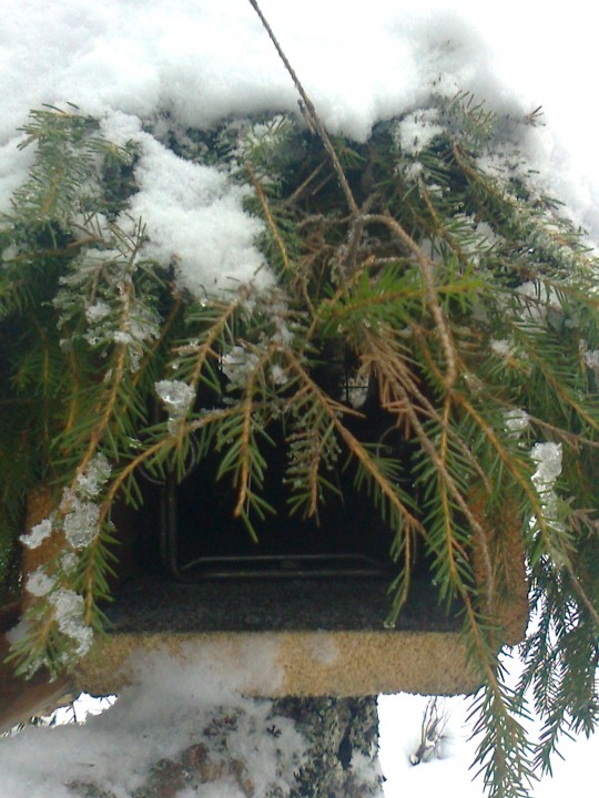 Изображение 1050.jpg