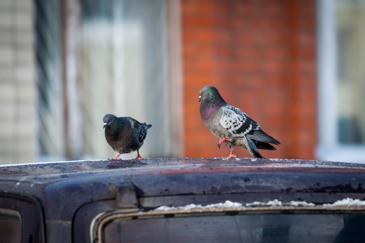 DSC_0432-2.jpg