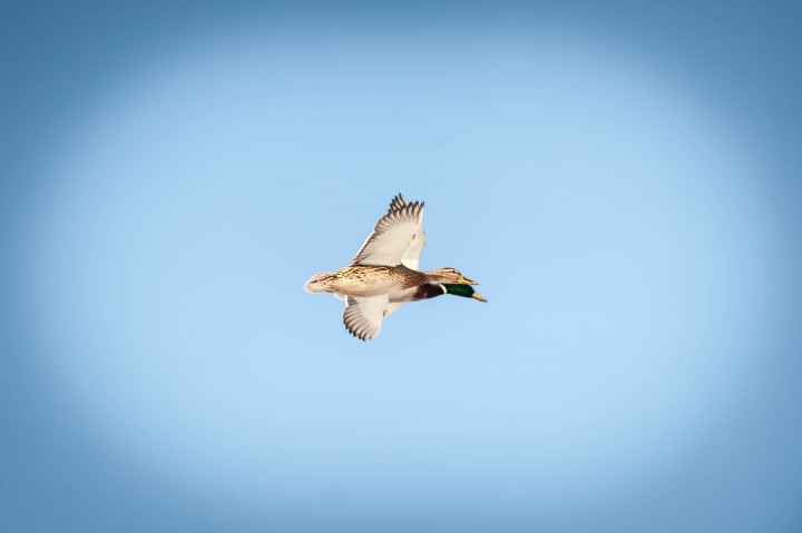 DSC_0883.jpg