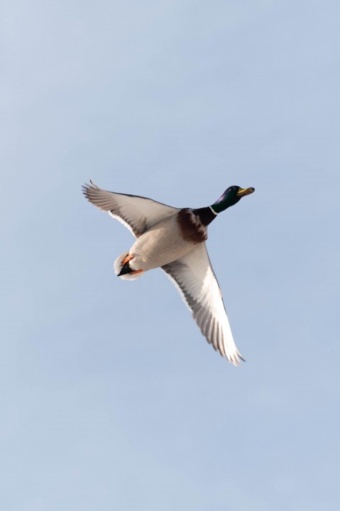 DSC_0853.jpg