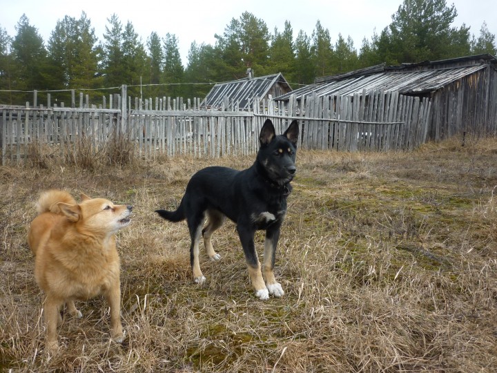 4 мес.