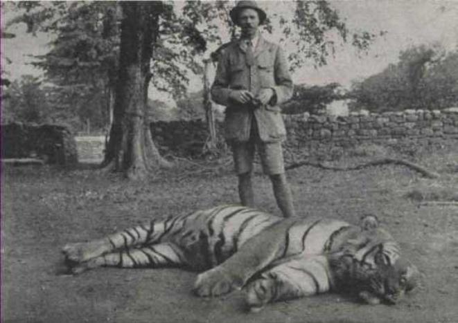 Корбетт 1.jpg