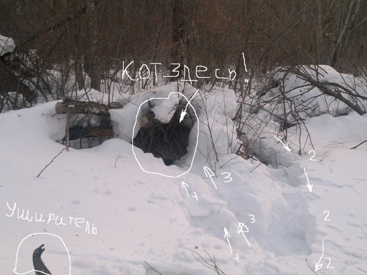 Схема движения.jpg
