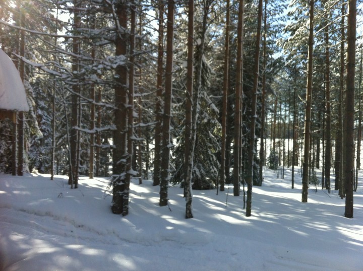 IMG_0968.JPG