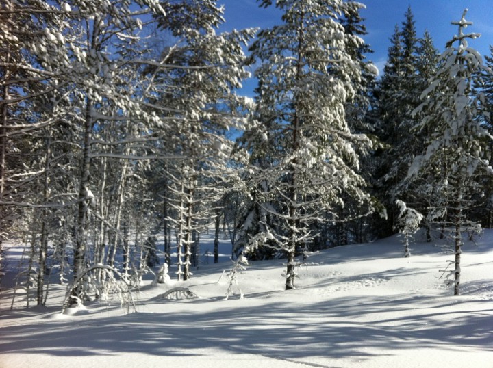 IMG_0970.JPG