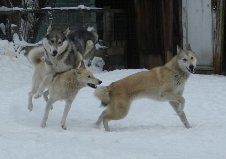 DSCN6538.jpg