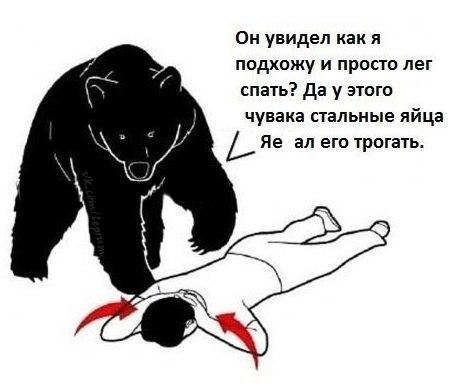 rMETYoSG8p8.jpg