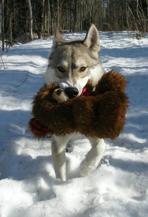 P1010162.JPG (100.8 КБ) 4446 просмотров P1010162.JPG