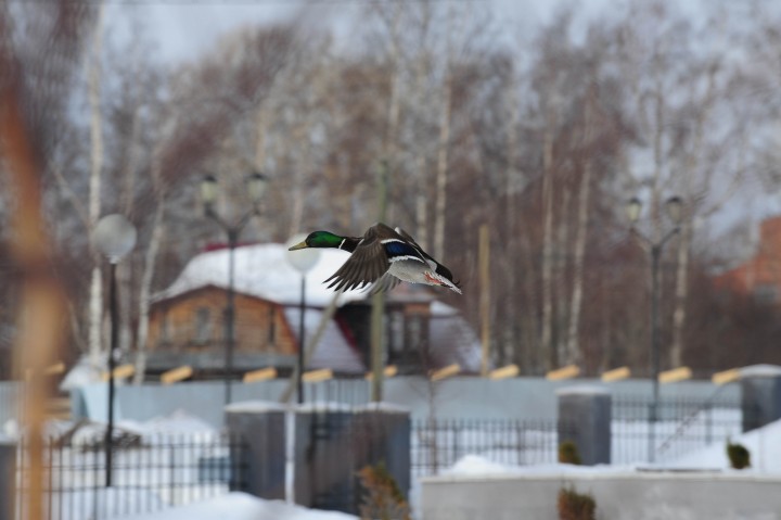 DSC_5799.jpg