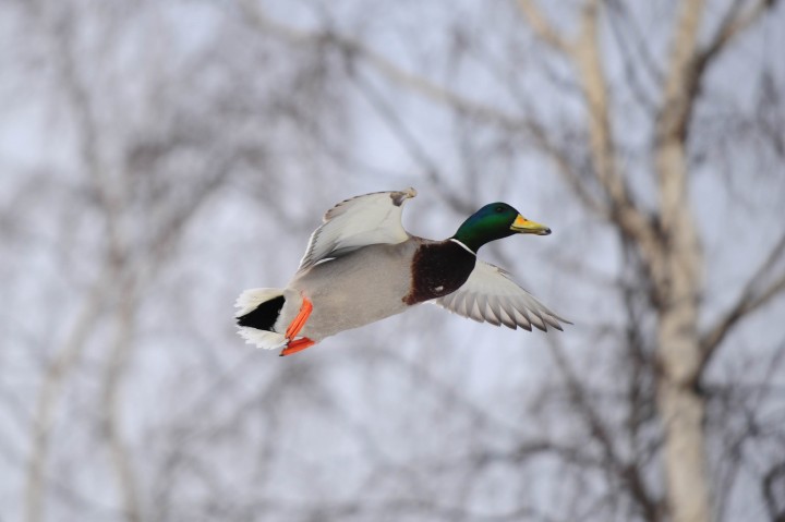 DSC_5893.jpg