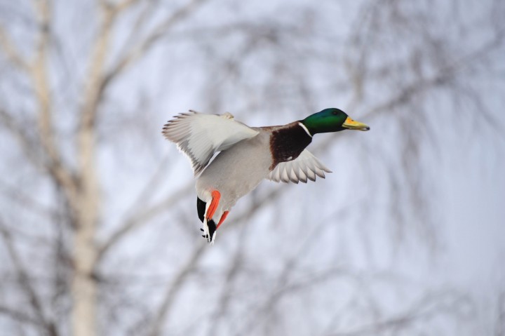 DSC_5894.jpg