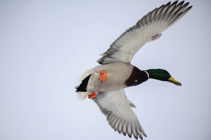 DSC_5898.jpg