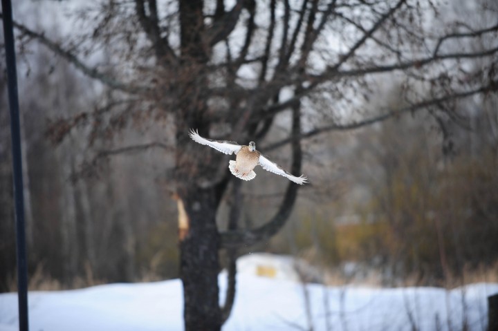 DSC_5947.jpg