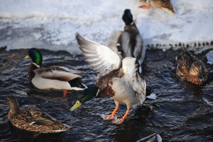 DSC_6259.jpg