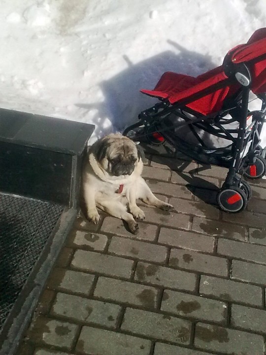 Фото0030.jpg (298.57 КБ) 2785 просмотров Фото0030.jpg