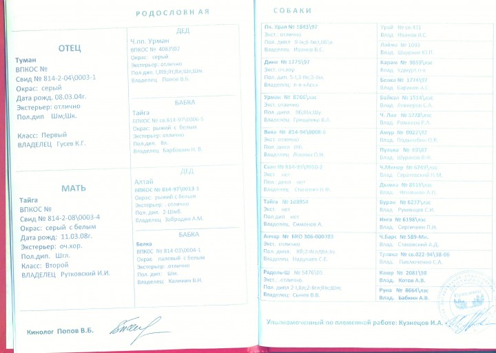 Родословная