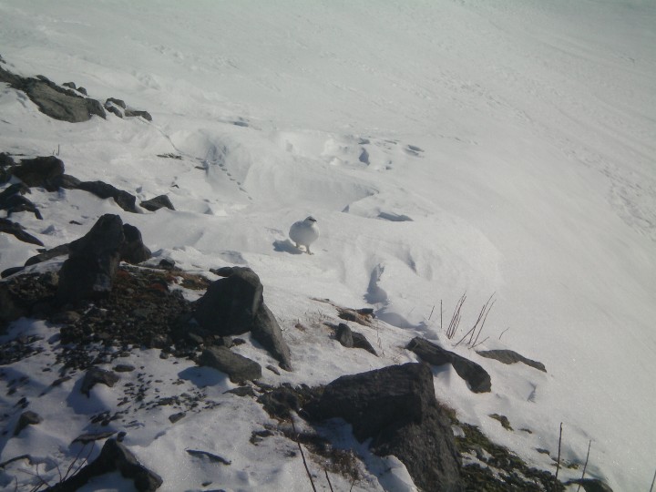 100_0071.JPG
