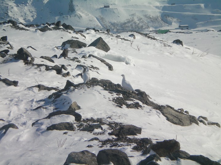 100_0077.JPG