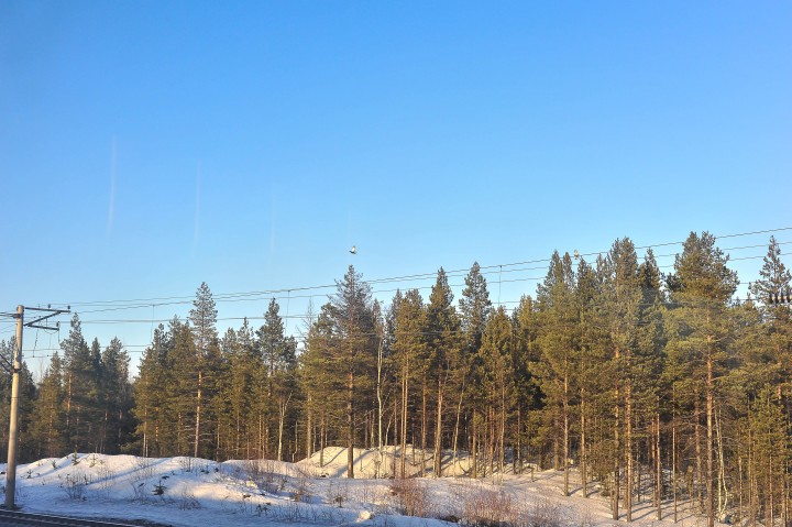 DSC_2039.jpg