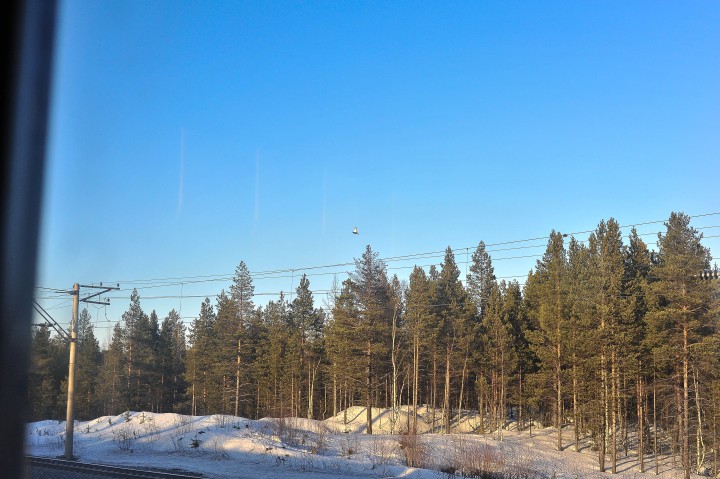 DSC_2040.jpg