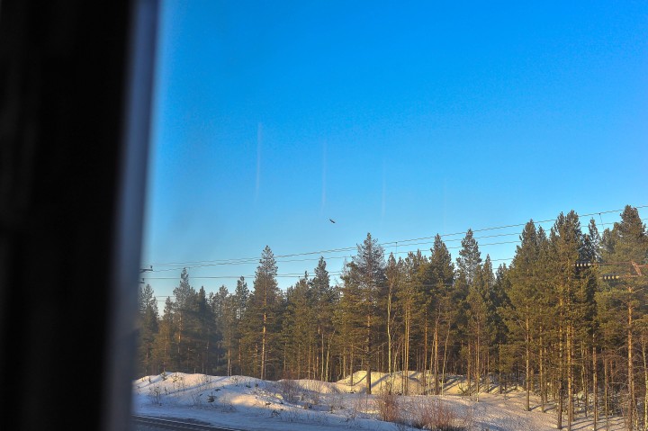 DSC_2042.jpg