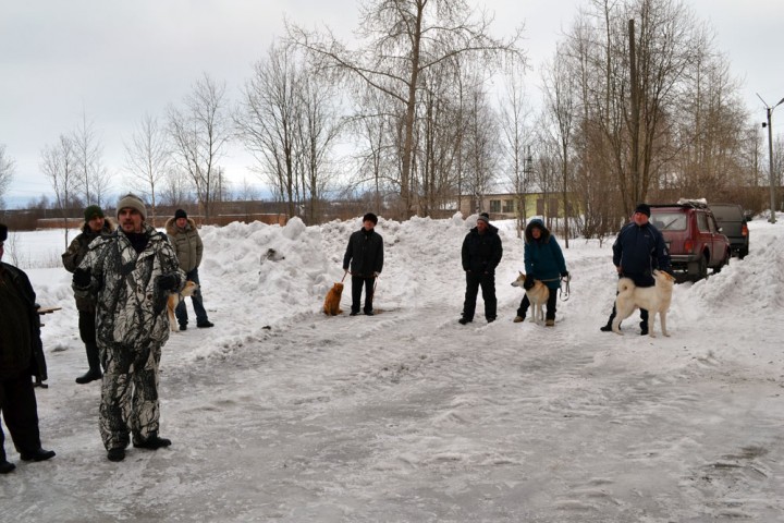DSC_2895.jpg