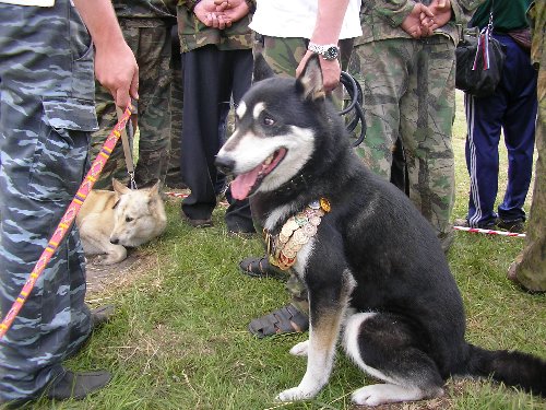 Р’С‹СЃС‚Р°РІРєР° 032.jpg