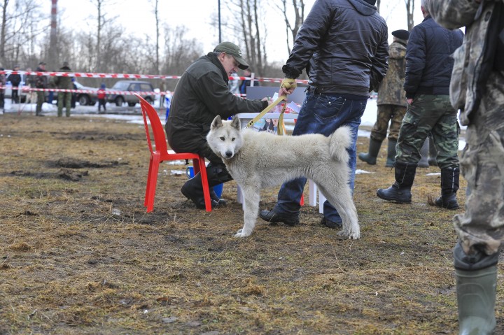DSC_3859.jpg