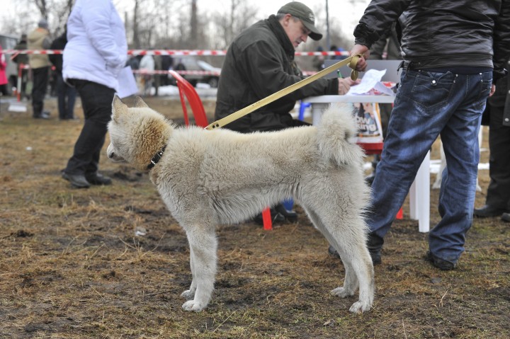 DSC_3864.jpg