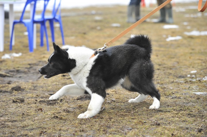 DSC_3893.jpg