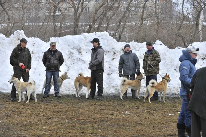 DSC_4141.jpg