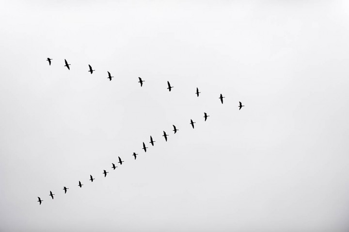 DSC_5772.jpg