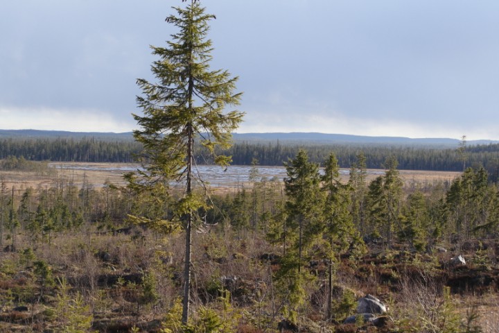 IMG_9790o.JPG