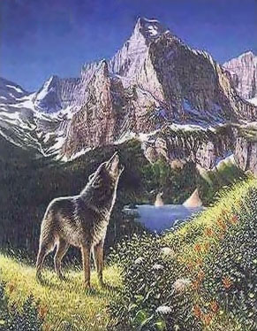 illusion_17_639.jpg