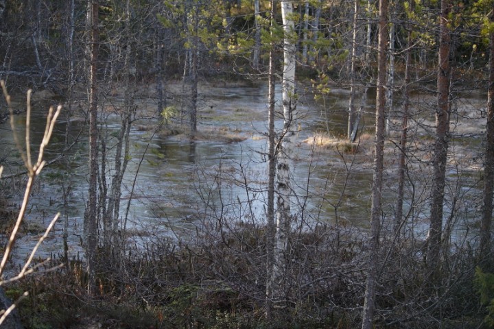 IMG_9834o.JPG