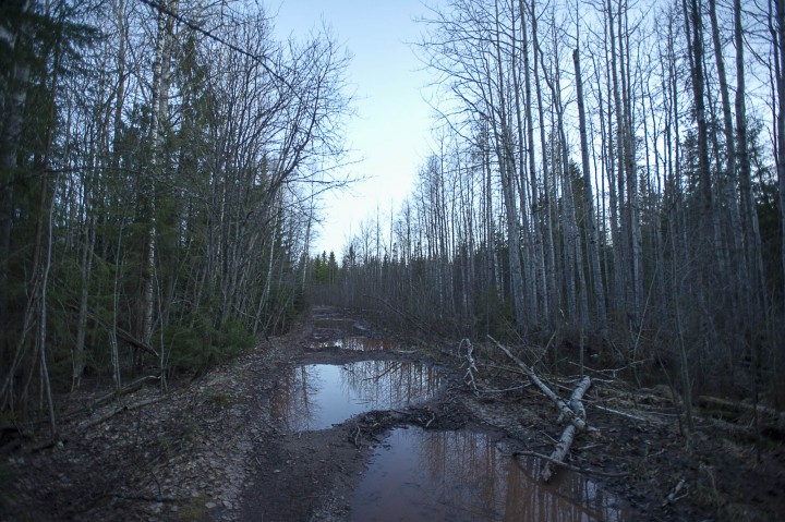 DSC_6992.jpg