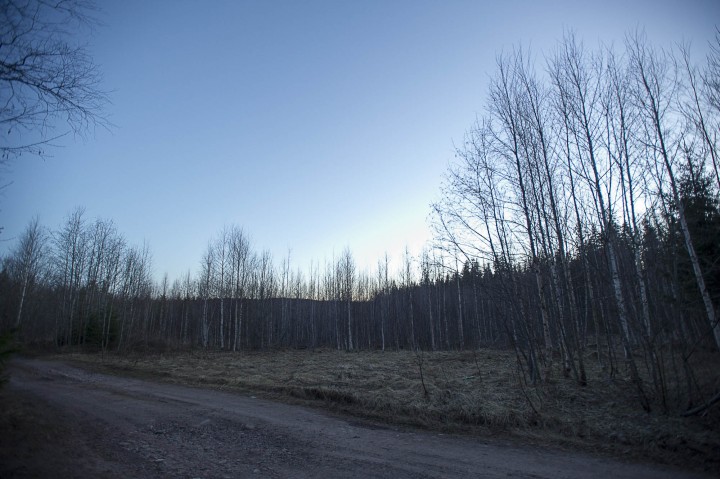 DSC_6999.jpg